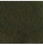 C-55 Oliivroheline